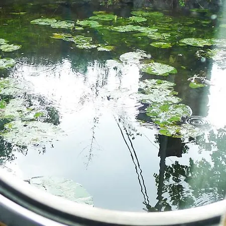 Hotelboat Ideaal Båthotell Amsterdam